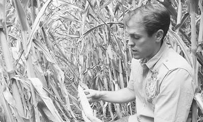 �ɺ�������������Ϲ���������أ�ͼΪ�������ڲ鿴���׳��ơ��������� ������� 