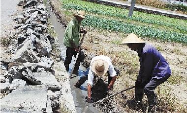 昨日,苍南马站镇农民在抢修农田水渠,确保灌溉和排涝两不误。 余怀东 摄 昨日,苍南马站镇农民在抢修农田水渠,确保灌溉和排涝两不误。 余怀东 摄