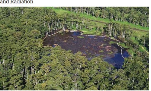 美国路易斯安那州出现一个深达约120米的神秘巨坑(网页截图) 美国路易斯安那州出现一个深达约120米的神秘巨坑(网页截图)