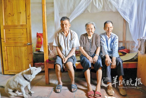 阿福(右一)和阿满很乖地坐在母亲身边,阿狗坐在地上 阿福(右一)和阿满很乖地坐在母亲身边,阿狗坐在地上