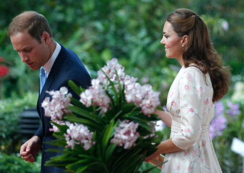 新加坡植物园将一株兰花以威廉王子夫妇的名字命名。