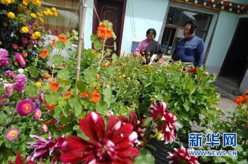 8月24日,才哇(右)在村民扎西雍措的院子里了解她家的生活情况。在玉树灾区扎西大同村新建的农牧民安居房社区里,总能看到一个忙碌的身影带领着村民丈量土地、砌墙盖房。他那条标志性的黝黑大辫子盘在脑后,红黑色的脸膛一脸的豪气,这就是扎西大同村三社社长才哇,玉树灾区农牧民心中不屈的康巴铁汉。新华社发(吴刚 摄) 8月24日,才哇(右)在村民扎西雍措的院子里了解她家的生活情况。在玉树灾区扎西大同村新建的农牧民安居房社区里,总能看到一个忙碌的身影带领着村民丈量土地、砌墙盖房。他那条标志性的黝黑大辫子盘在脑后,红黑色的脸膛一脸的豪气,这就是扎西大同村三社社长才哇,玉树灾区农牧民心中不屈的康巴铁汉。新华社发(吴刚 摄)
