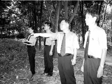 检察官查看滥伐林木现场 检察官查看滥伐林木现场