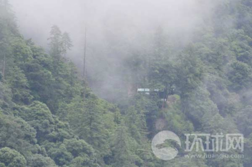 中印边境的印军情报站,隐在原始森林里。 中印边境的印军情报站,隐在原始森林里。