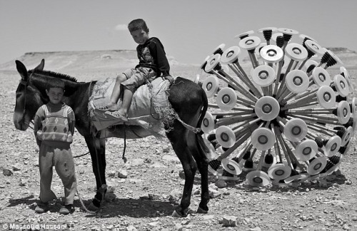 �����������ɨ�����������οƻ����ѹ�Ӣ��