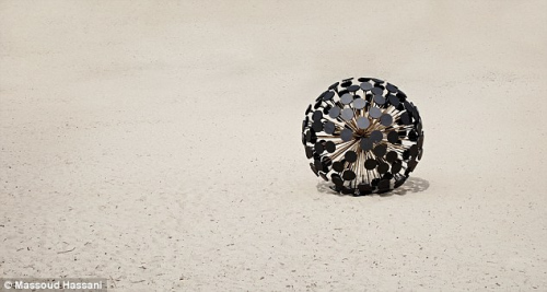 �����������ɨ�����������οƻ����ѹ�Ӣ��