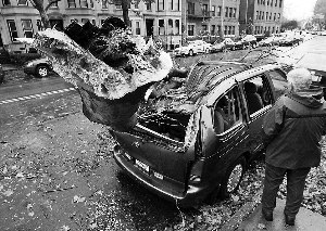 �������ҡ�