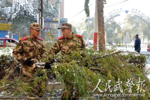 搬运树枝。图片来源:人民武警报 搬运树枝。图片来源:人民武警报