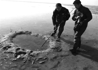 11月15日,蓝天救援队队员和护鸟志愿者在湿地里搜索,打捞起多种鸟类尸体,共几十只。 11月15日,蓝天救援队队员和护鸟志愿者在湿地里搜索,打捞起多种鸟类尸体,共几十只。