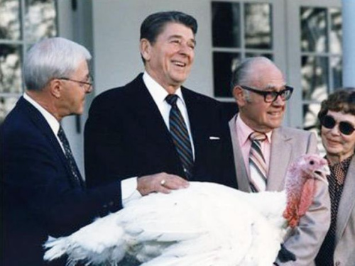 �����𼦺�Ӱ ����1983��11��