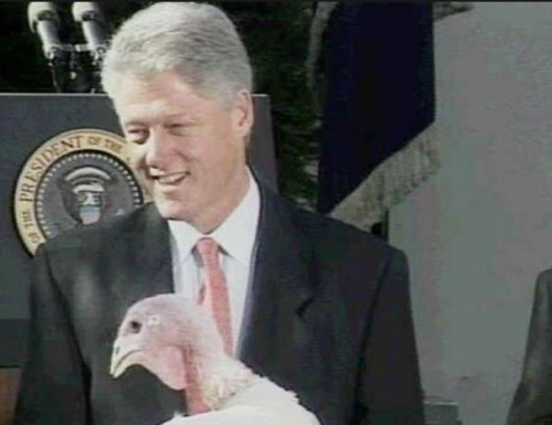 ���ֶ���𼦺�Ӱ ����1998��11��24��
