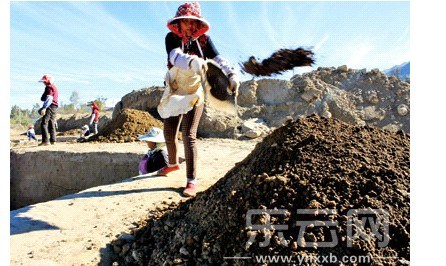考古发掘现场,工作人员正在清理泥土。 考古发掘现场,工作人员正在清理泥土。