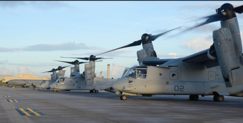 驻日美军普天间基地的3架MV-22 “鱼鹰”新型运输机10日正式加入到11月底在关岛开始实施的美军事演习。 驻日美军普天间基地的3架MV-22 “鱼鹰”新型运输机10日正式加入到11月底在关岛开始实施的美军事演习。
