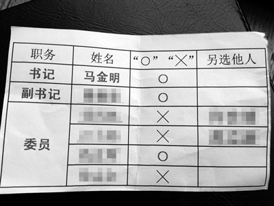部分党员提供的“选票”。新京报记者 刘珍妮 摄 部分党员提供的“选票”。新京报记者 刘珍妮 摄