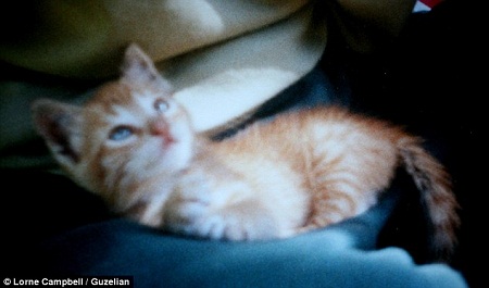 �Ͽ�ѷŮʿ�ӡ�������ء�����ֻСè��ʱ��Ϳ�ʼ������