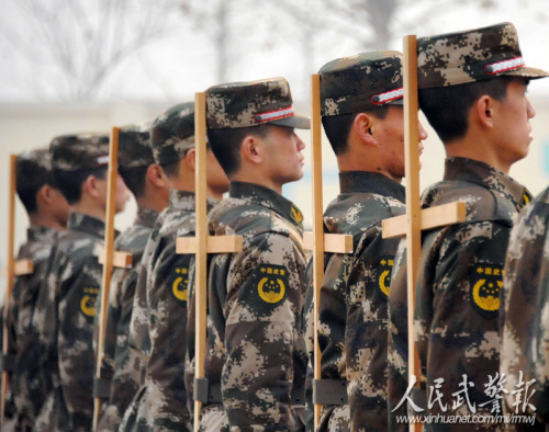 �ٱ����Ƽ���ѵ�����ġ�ͼƬ��Դ�������侯��