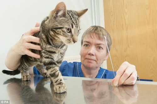 è�䡰�����ơ������ӻ����������˶�