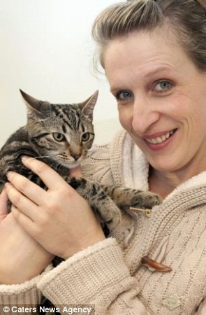 Ŀǰ���������ơ�����ȫ����