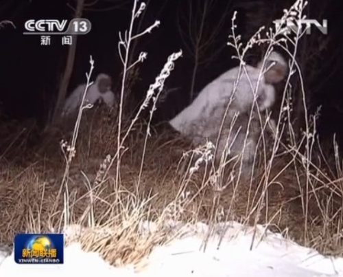 ʵ�ģ��й�½������������չ��ʵս���Կ�����