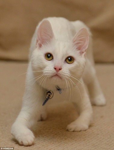 ����ά����Ӧ������ȱ�ݣ�ѧ�����ⲿ�ŵ���·