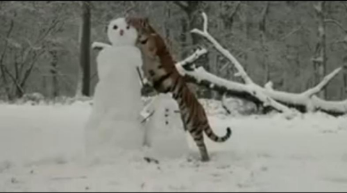 �ϻ�ſ��ѩ�˺󱳡�