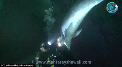 ���൱ʱֱ������ǱˮԱ����������������