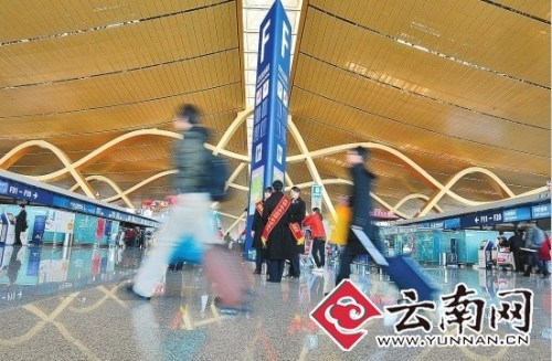 ��ɫ�Ҵҵ��ÿͽ������ ������