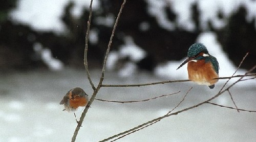 ֪������һ�߿����۲���Ħȭ����׼��Ч�¡�