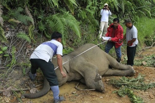 ������Ա�ڲ�����������塣