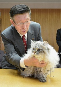 2月5日,日本秋田县知事佐竹敬久收到了一只普京赠送的西伯利亚猫 2月5日,日本秋田县知事佐竹敬久收到了一只普京赠送的西伯利亚猫