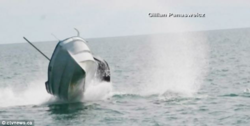 Ħ��ͧ���ձ��Ʒ���δ�����Ա������