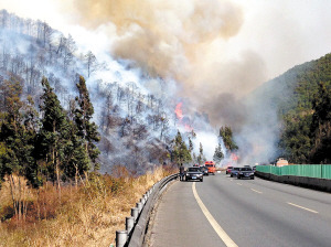 火势蔓延到楚大高速路旁边 木红梅 火势蔓延到楚大高速路旁边 木红梅