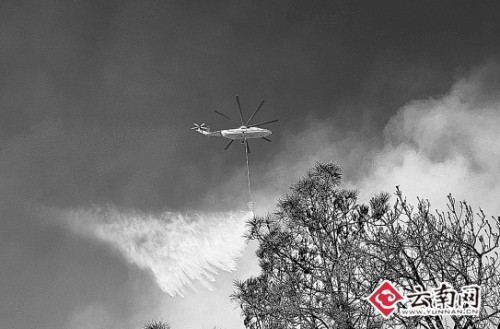 直升机从空中洒水灭火 直升机从空中洒水灭火