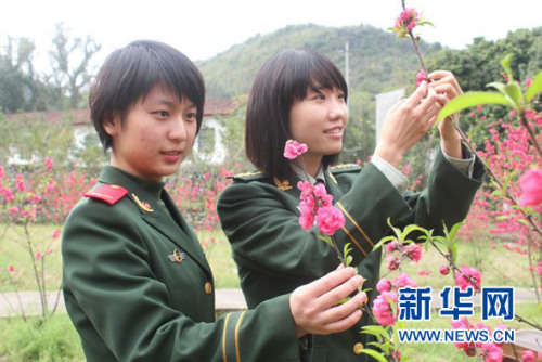官兵观赏桃花 官兵观赏桃花
