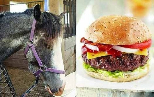 马肉从未彻底离开欧洲人的食谱(资料图) 马肉从未彻底离开欧洲人的食谱(资料图)