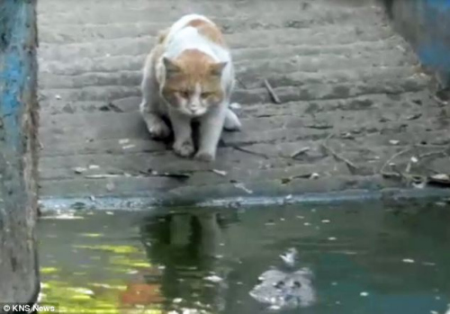 ����������ε��˻�ˮ���С�