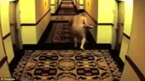 ���������ھƵ����ȴ��С�