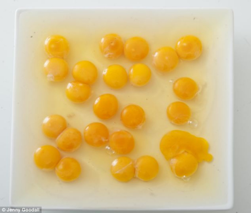 ʮ��������ȫ��˫��