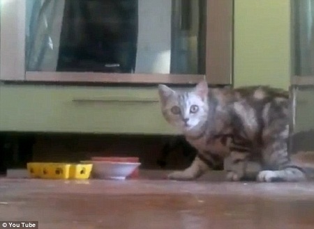 è�䷢���Լ��⵽���ˡ�͵�ġ�