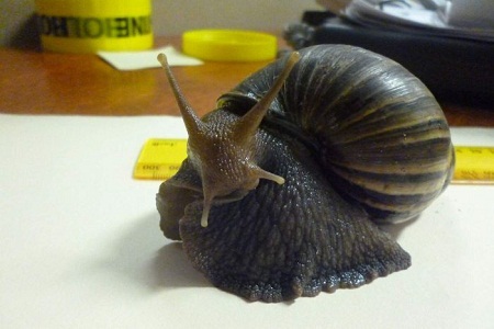 ���޴���ţ������ͼ��