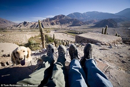 ��ķ��ά����ڰ���͢�ġ���Ѿ���ա���һֻС��Ҳ����������