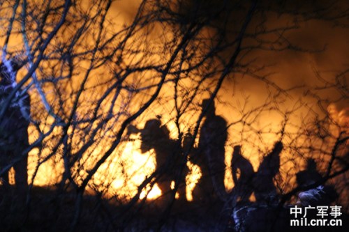 奋力扑救 奋力扑救