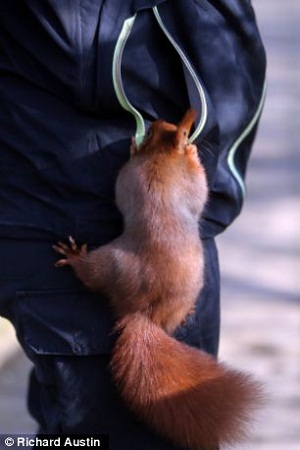 ����ӡ��������Ա�����¿ڴ��������ԡ����