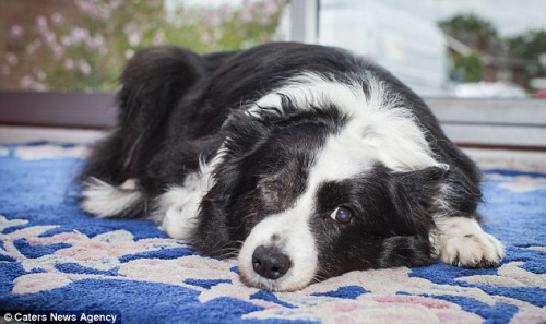 �¶�������С������