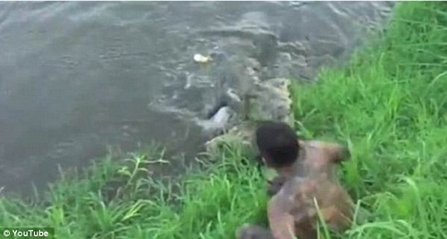 鳄鱼冲上河岸,袭击鲁伊斯 鳄鱼冲上河岸,袭击鲁伊斯