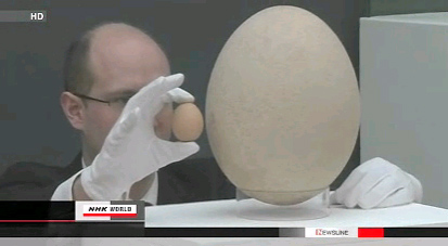 工作人员用这枚巨大的蛋化石与普通鸡蛋对比（视频截图）