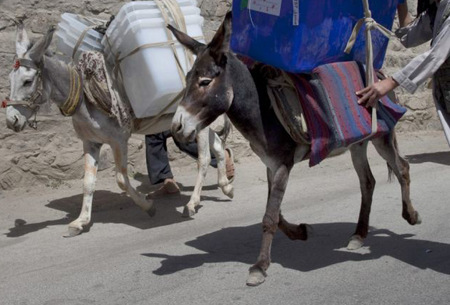 货物(资料图)据英国《每日邮报》4月5日报道,阿富汗东部拉格曼省阿林
