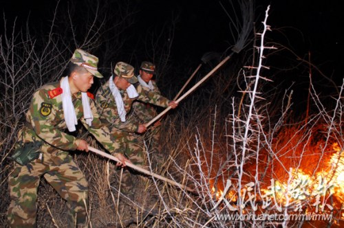 顺风扑打 顺风扑打