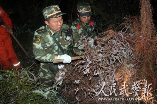 官兵们砍伐隔火带 官兵们砍伐隔火带