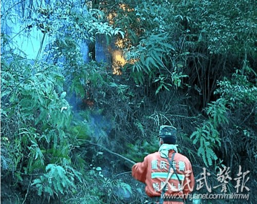 奋力鏖战火魔 奋力鏖战火魔